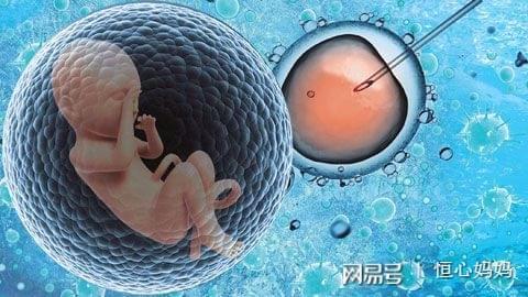 三代试管供卵机构男孩